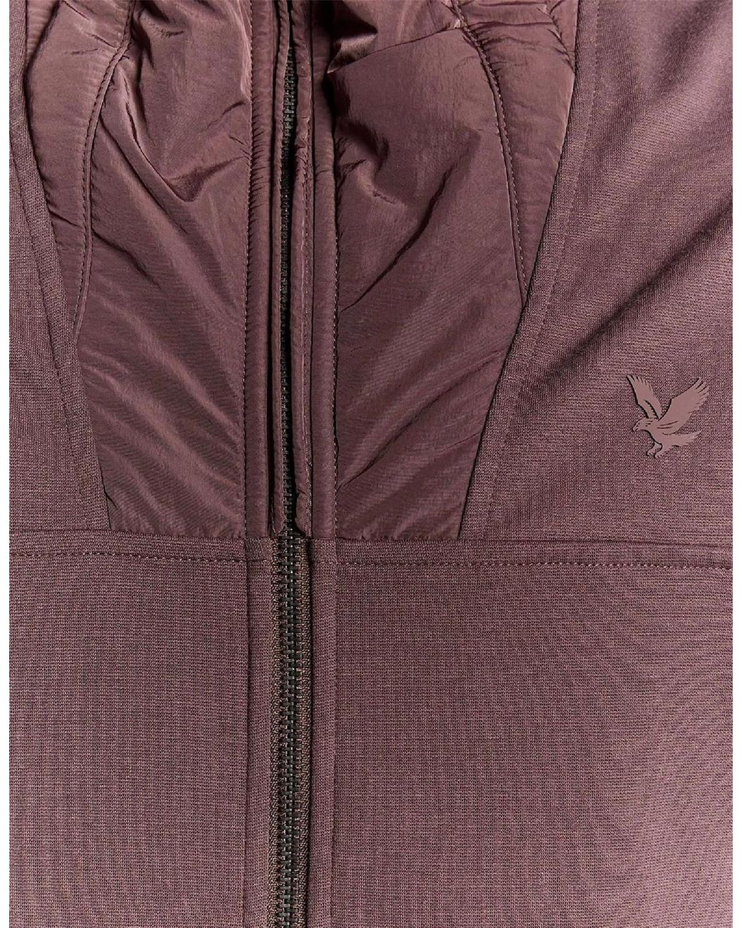 Lyle & Scott Purple Hybrid Jacket for men