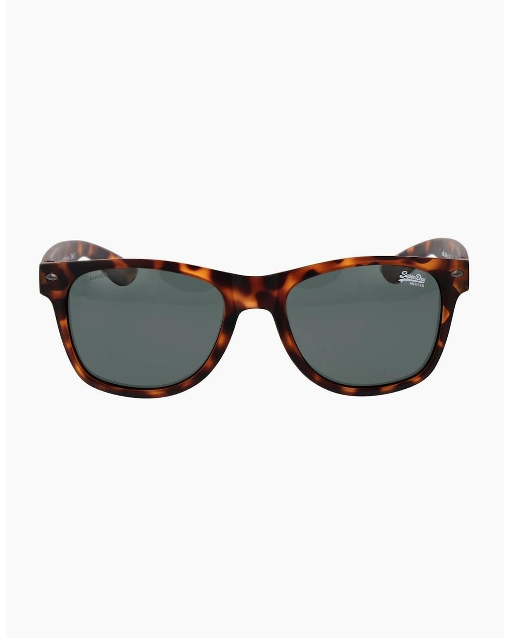 Superdry Black Sunglasses Sds-Alfie 102P 55 for men
