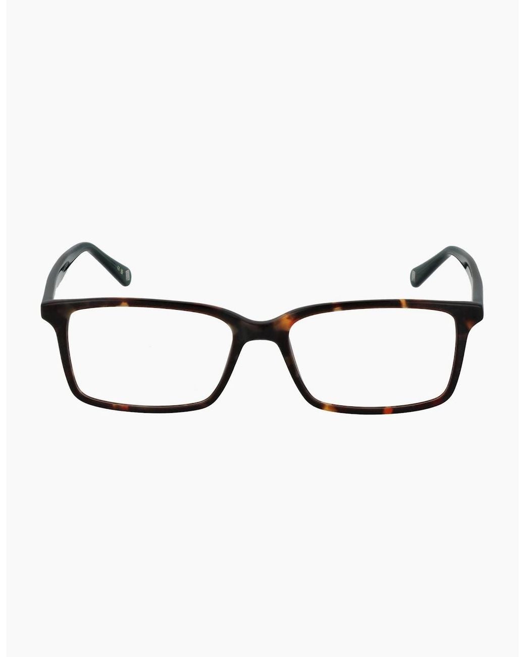 Ted Baker Brown Optical Frame Tb8118 145 52 for men