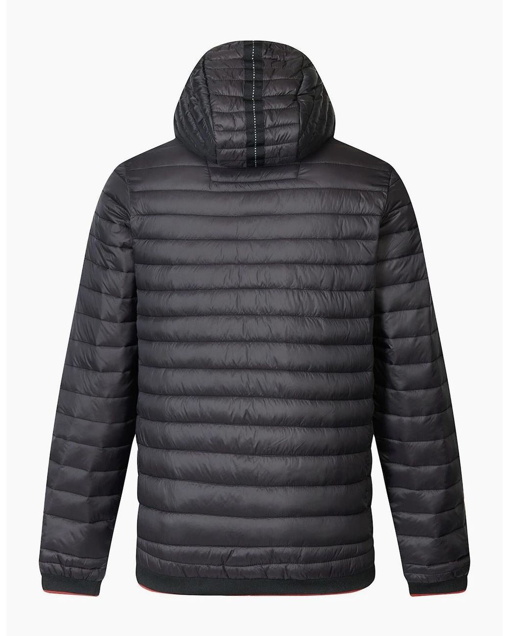 Regatta Gray Haile Padded Jacket for men
