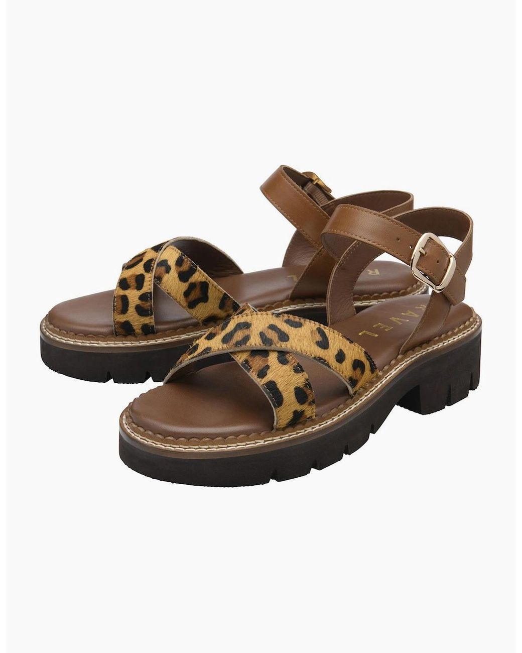 Ravel Brown Darras Sandals