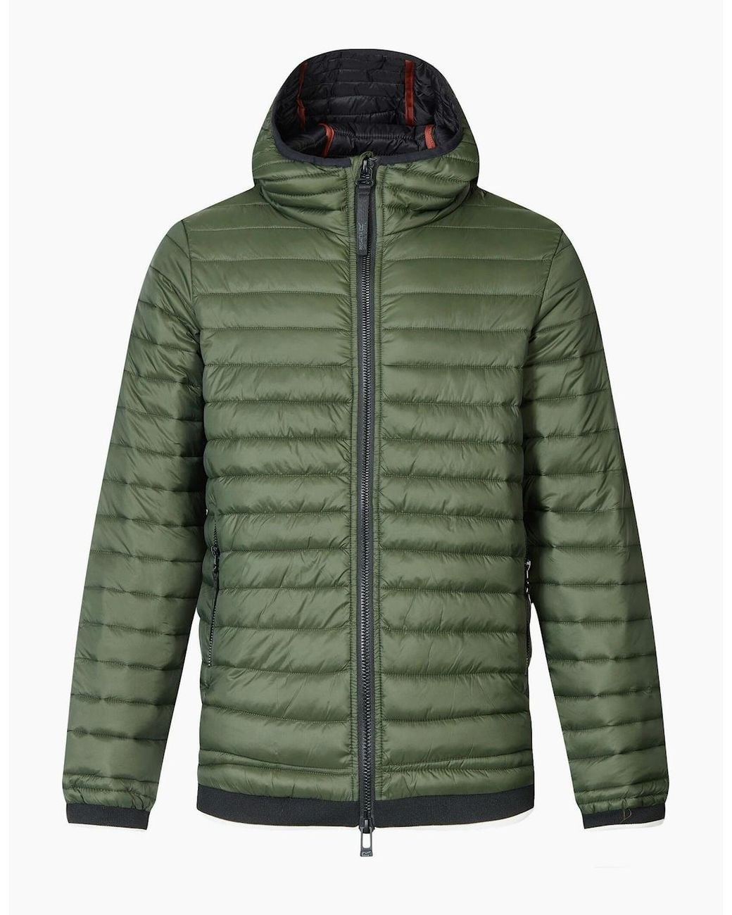 Regatta Green Haile Padded Jacket for men
