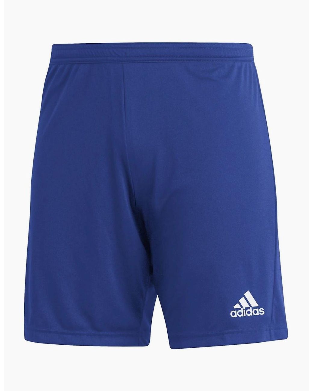 Adidas Blue Entrada 22 Shorts for men