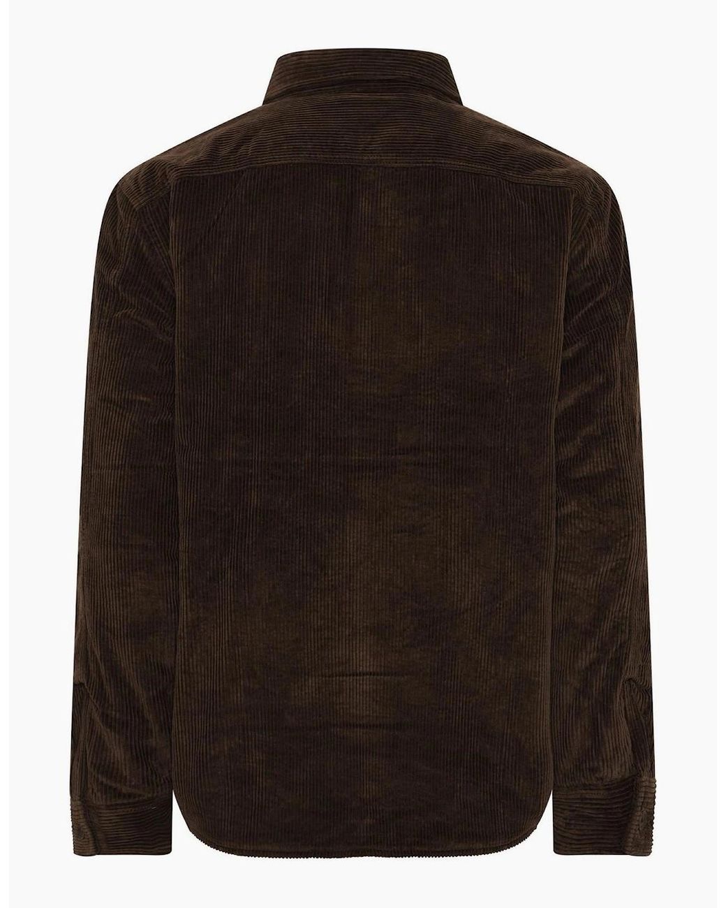 Lacoste Brown Long Sleeve Oxford Shirt for men
