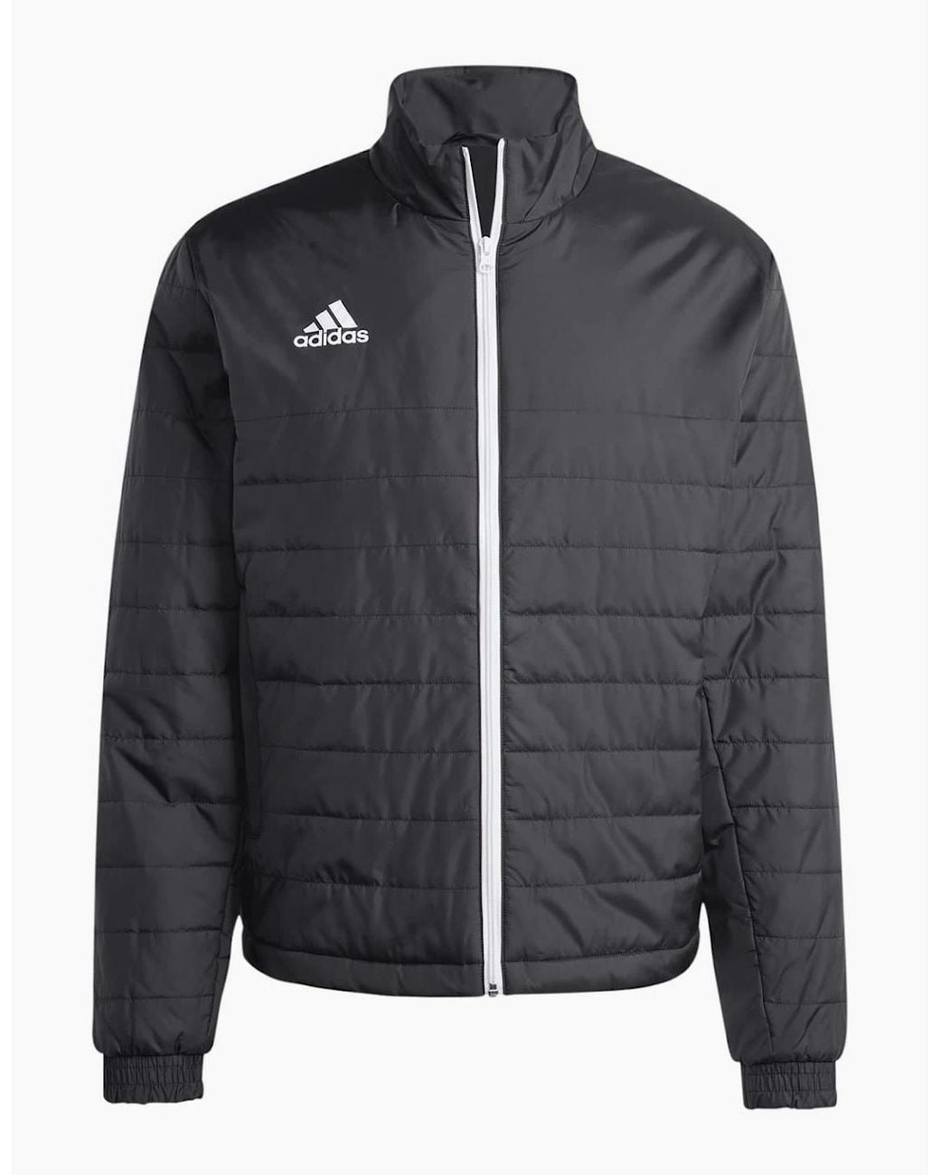 Adidas Black Entrada Light Jacket for men