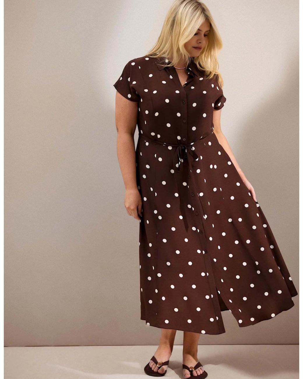 Live Unlimited London Brown Petite Chocolate Polka Dot Print Midaxi Shirt Dress