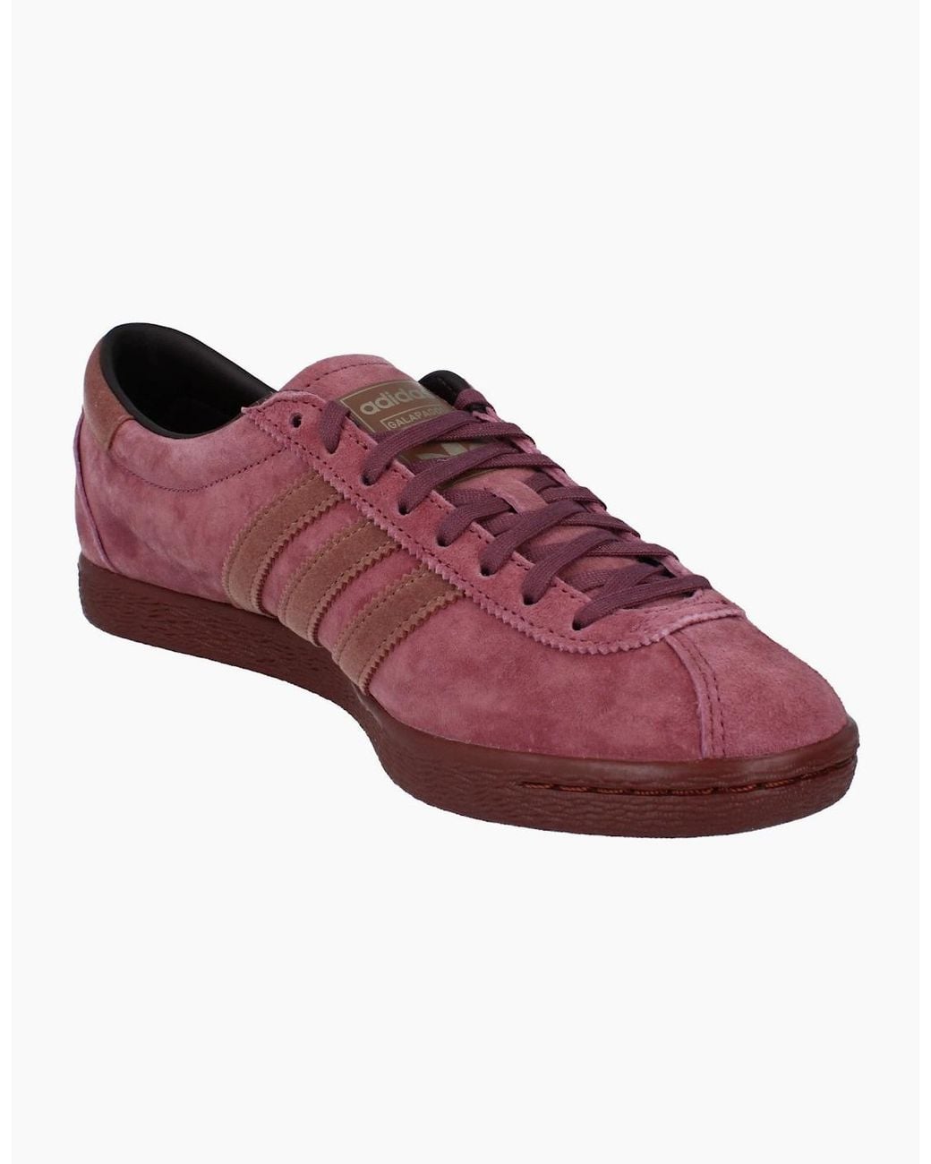 Adidas Purple Originals Galapagos Trainers Hq7272 for men
