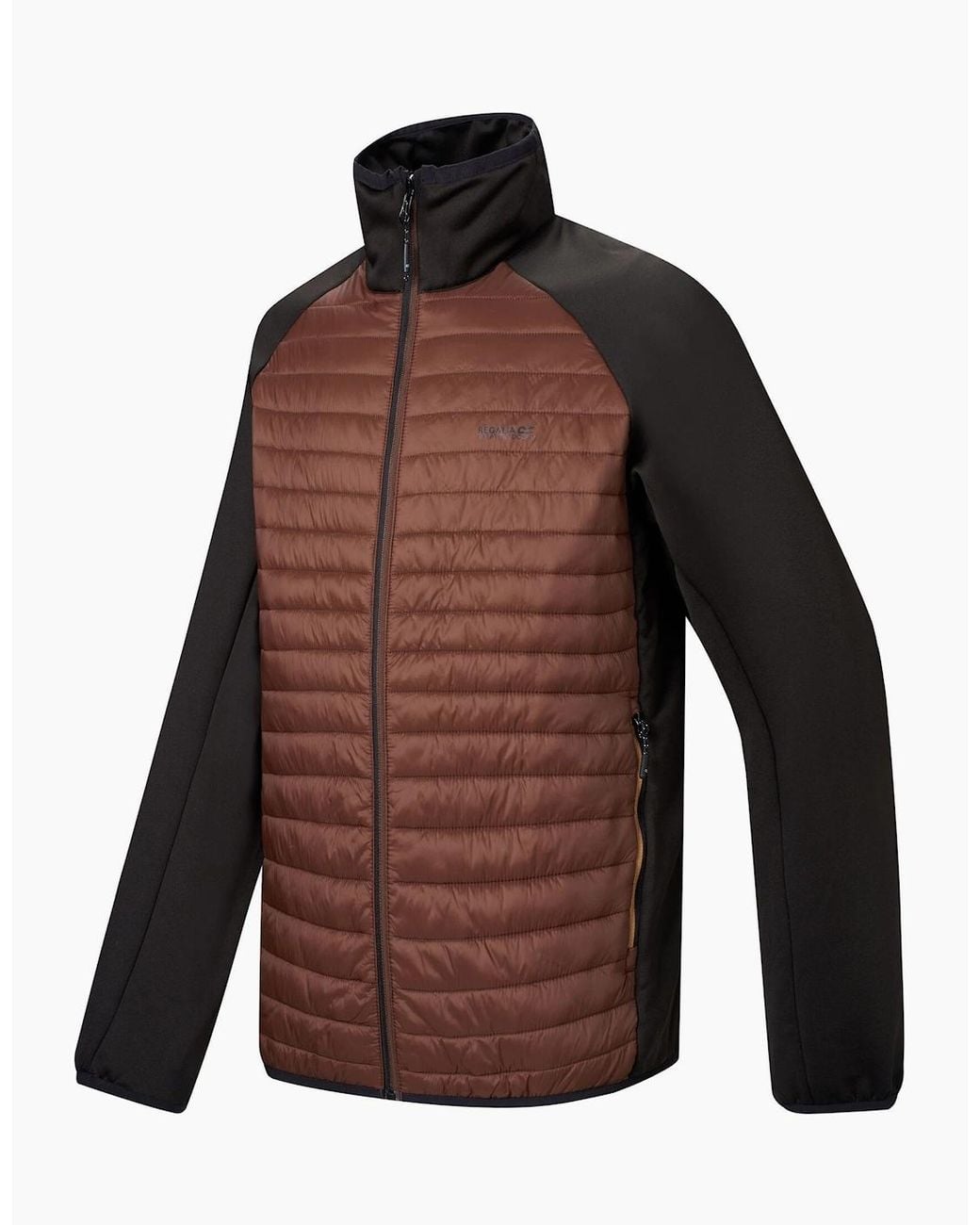 Regatta Brown Clumber Hybrid Jacket for men