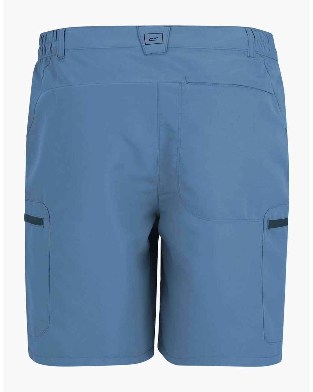 Regatta Blue Leesville Iii Shorts for men