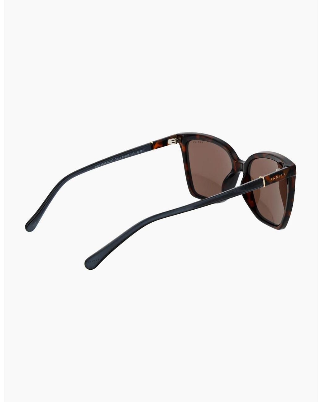 Radley Brown Sunglasses Rds-6557 102 54