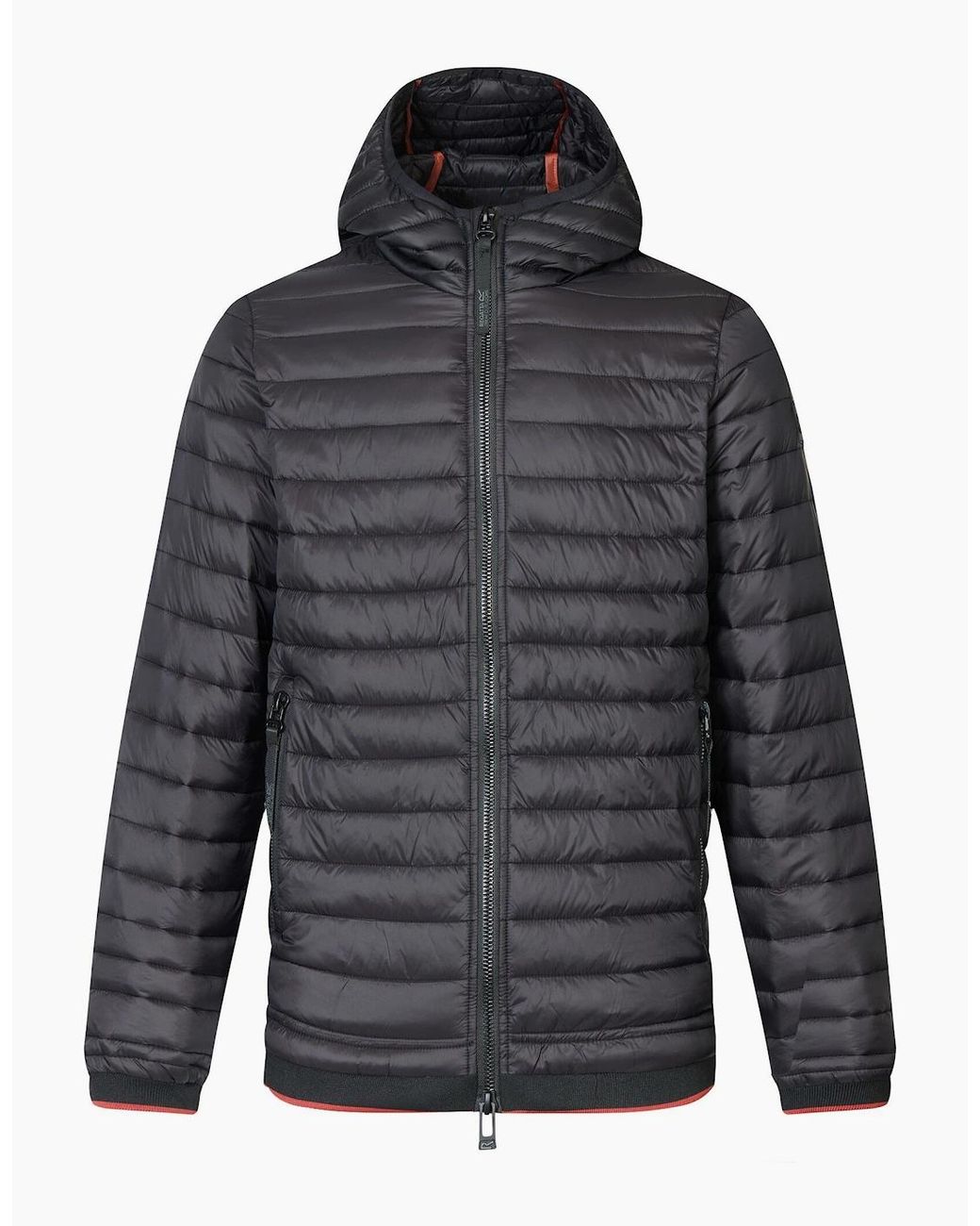 Regatta Gray Haile Padded Jacket for men