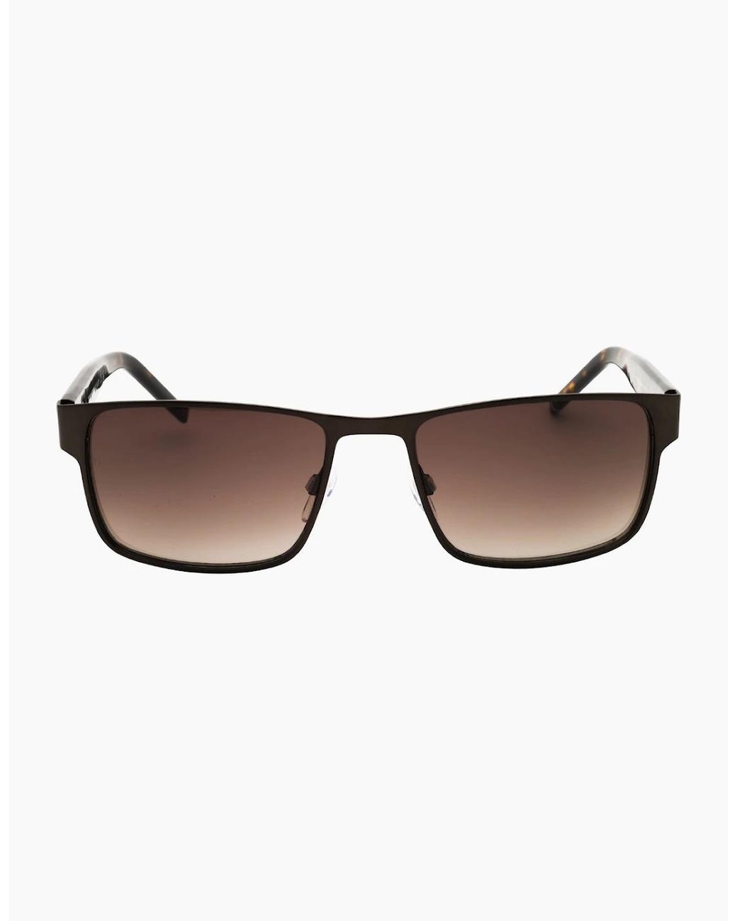 Tommy Hilfiger Brown Havana Sunglasses