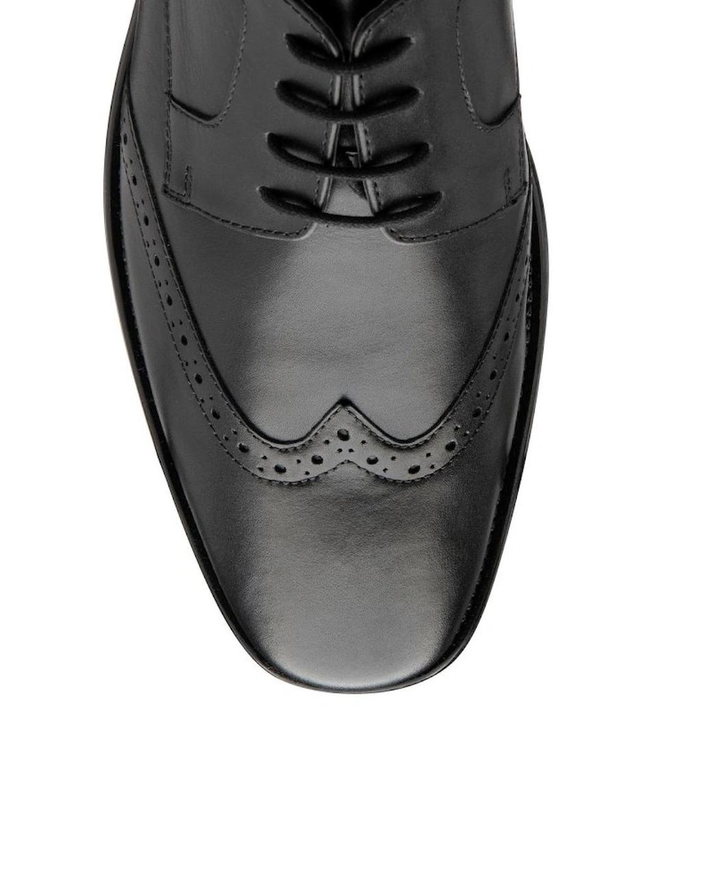 Lotus Black Dartford Wingtip Shoes for men