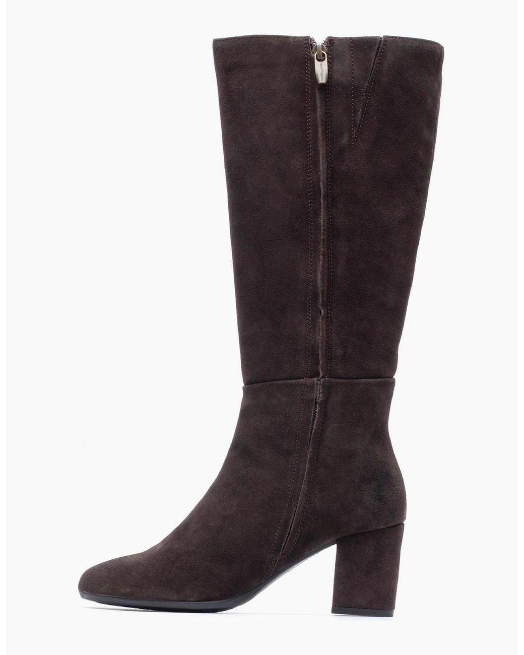 Hush Puppies Brown Oprah Suede Long Leather Chocolate Heeled Knee High Boots