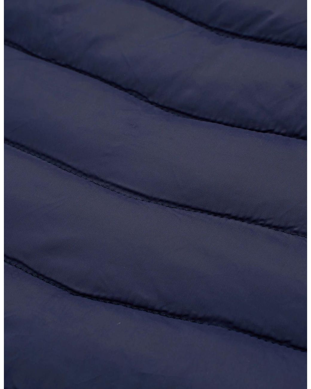 Regatta Blue Ladies Lighthouse Lightweight Padded Jacket