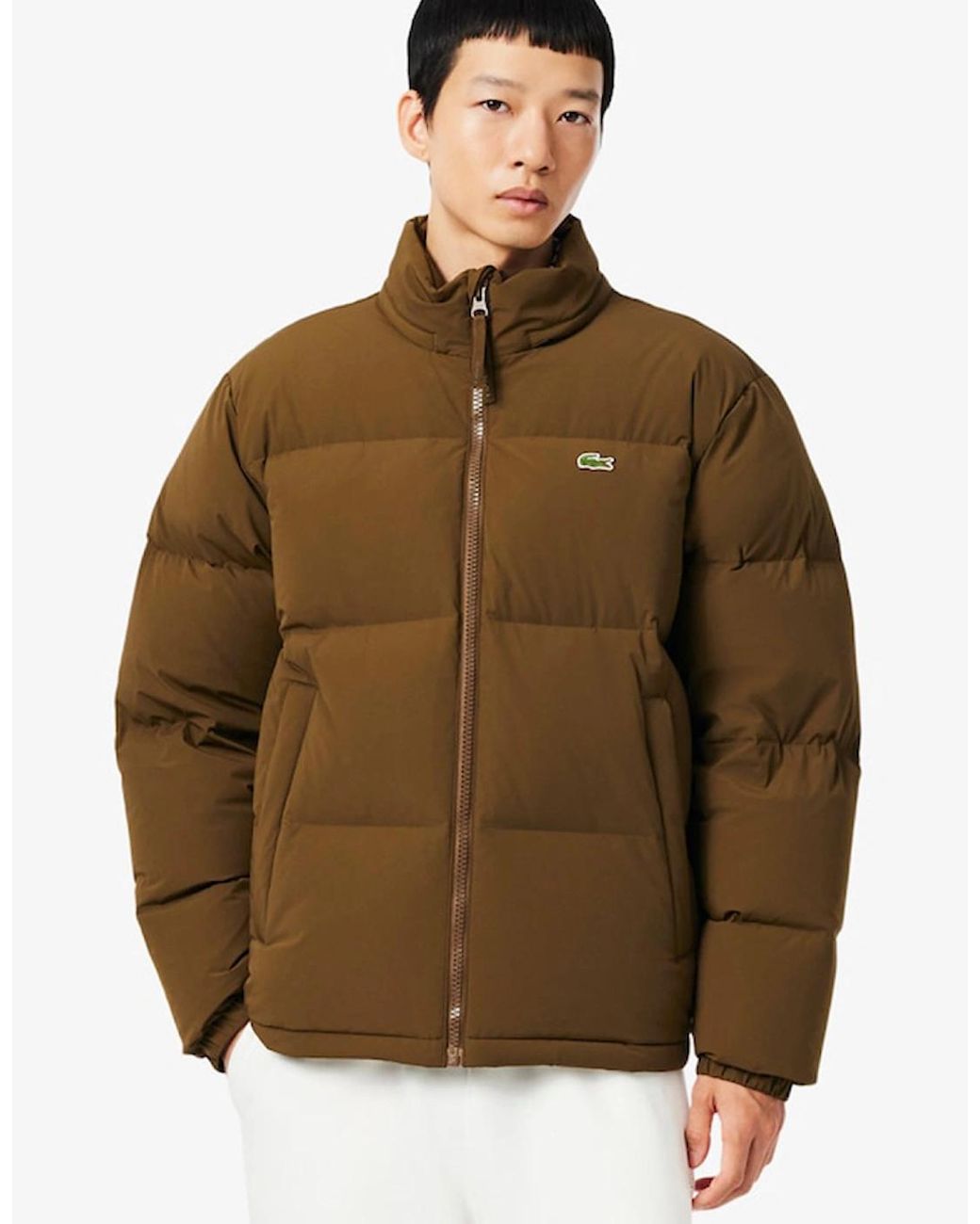 Lacoste Brown Water-Repellent Hooded Down Jacket for men