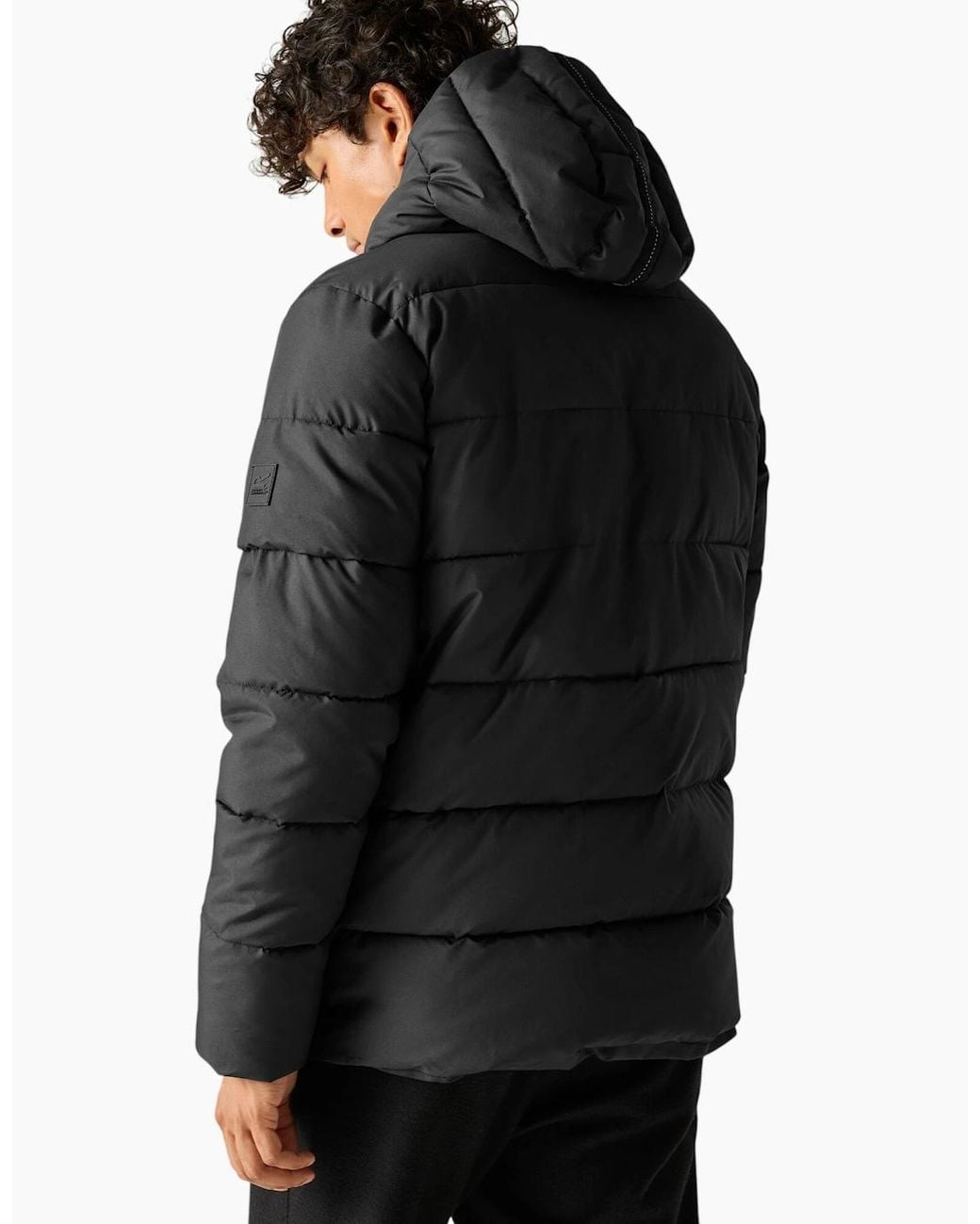 Regatta Black Layska Padded Jacket for men