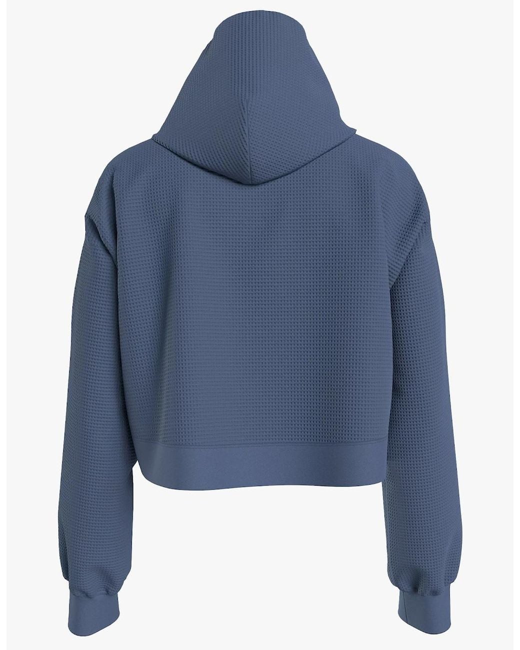 Tommy Hilfiger Blue Long Sleeve Hoodie Hoodie Iron