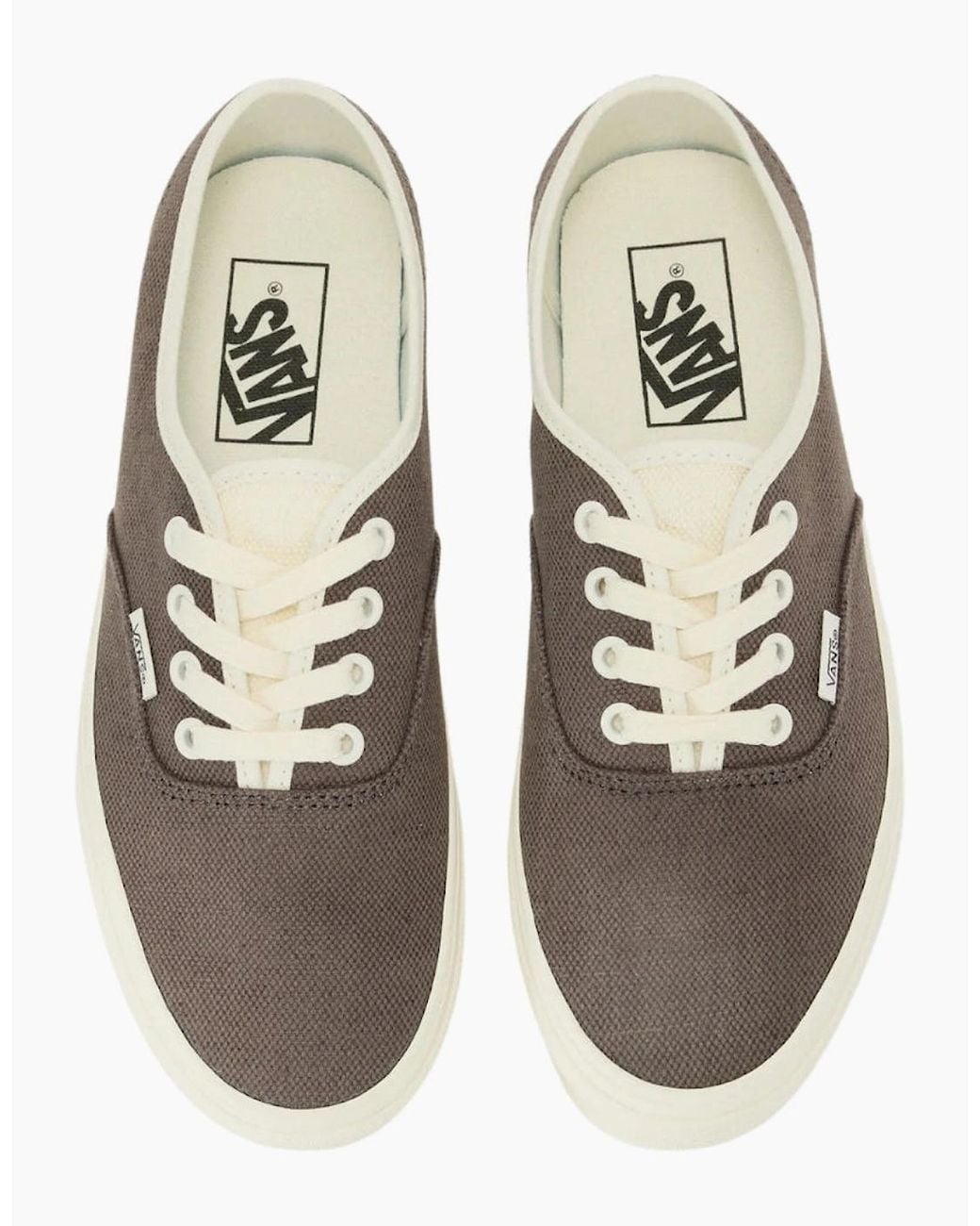 Vans Brown Authentic Linen Turkish Coffee Trainers
