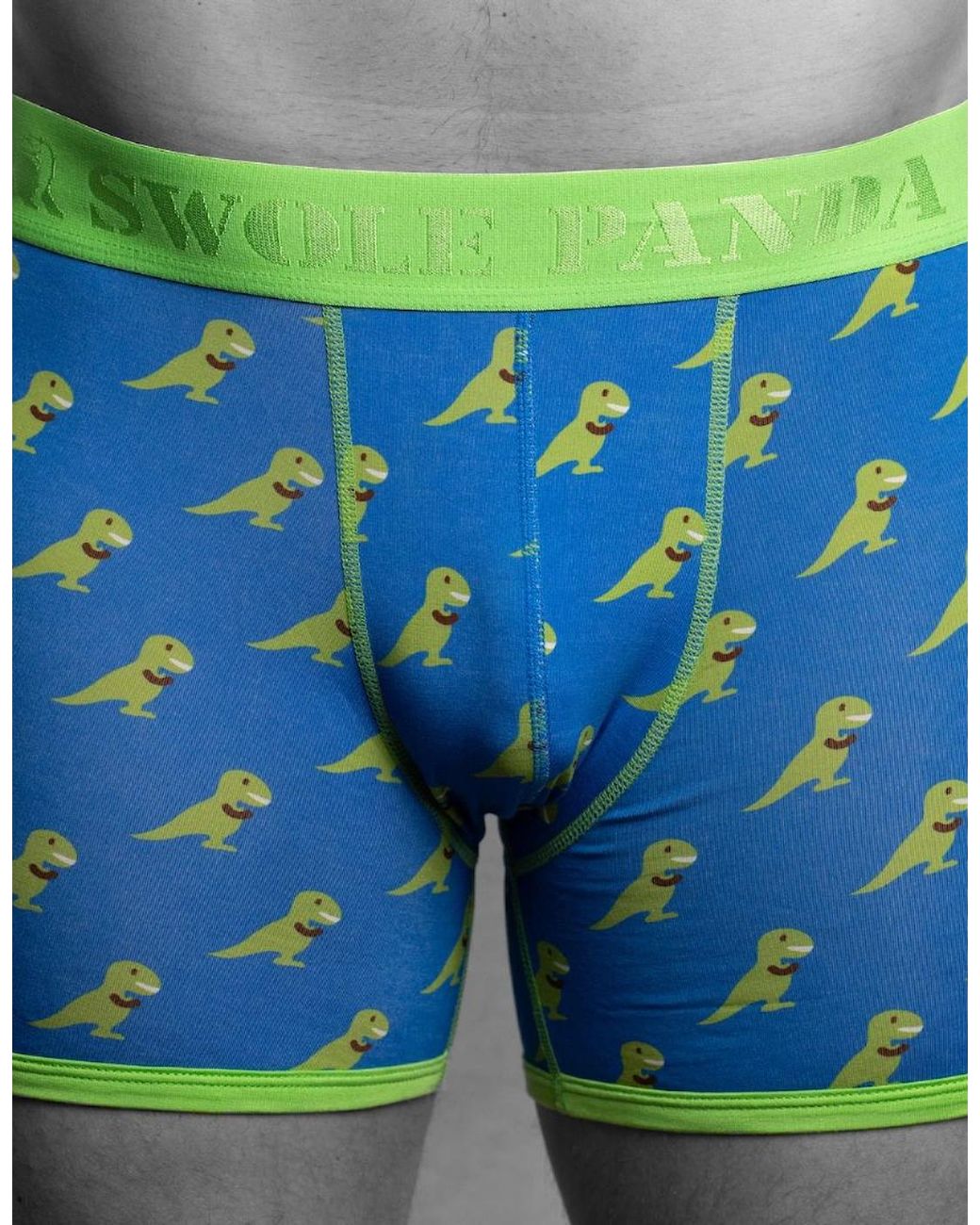 Swole Panda Green T-Rex Bamboo Boxer Brief for men