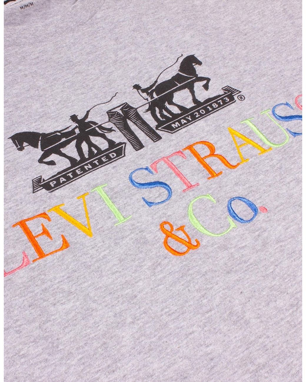 Levi's Purple Levi's Varsity 90's T-Shirt for men