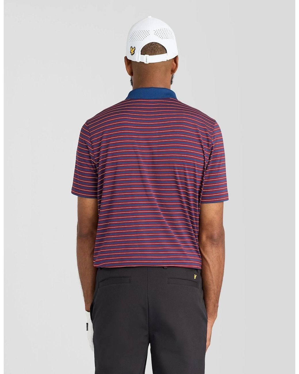 Lyle & Scott Purple Stripe Polo Shirt for men