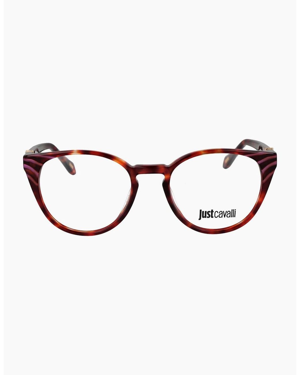 Just Cavalli Brown Optical Frame Vjc046V 0Wta 51