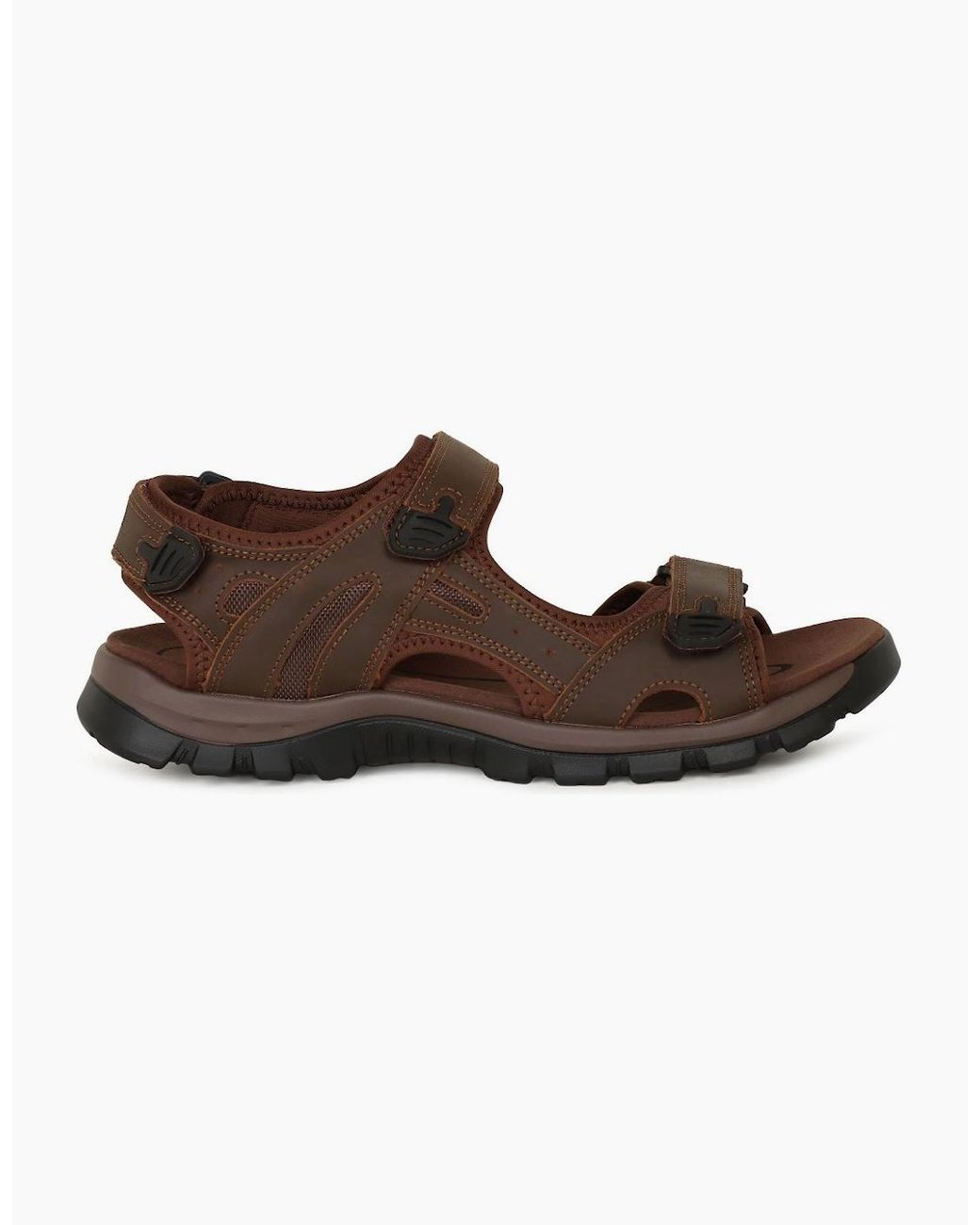 Josef Seibel Brown Bart 06 Sandals for men