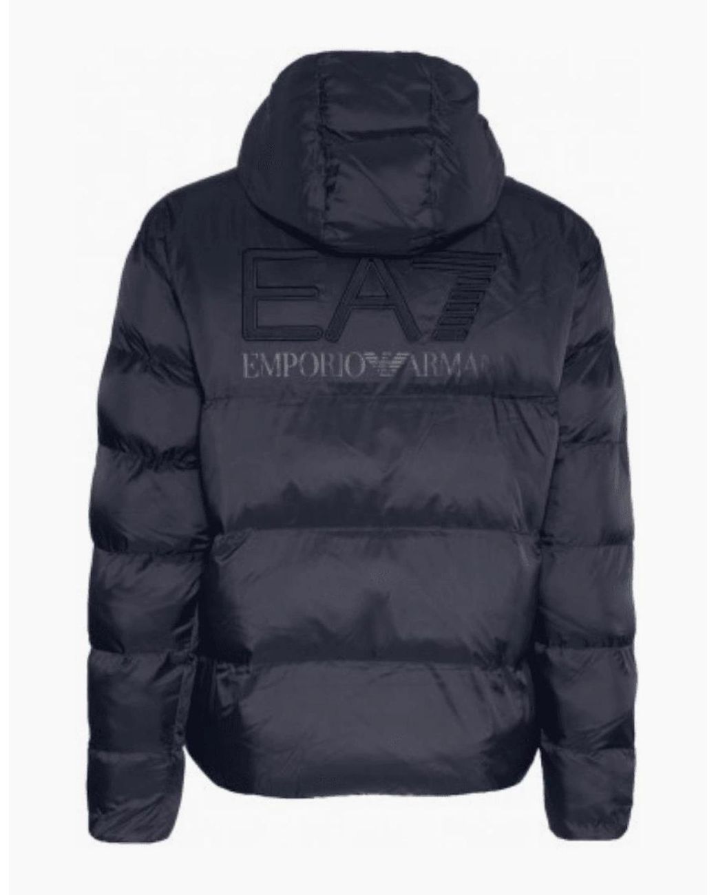 EA7 Blue Rear Embroidered Logo Puffer Jacket for men