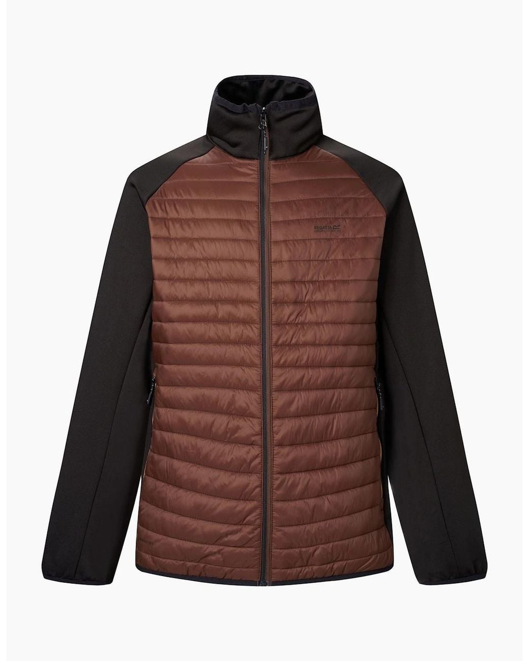 Regatta Brown Clumber Hybrid Jacket for men