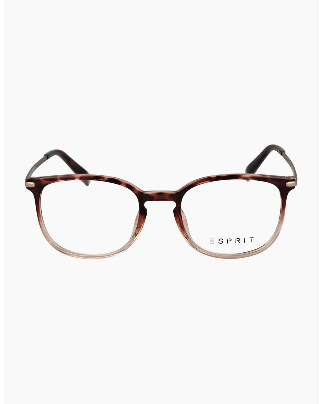 Esprit Brown Optical Frame Et17569 545 50
