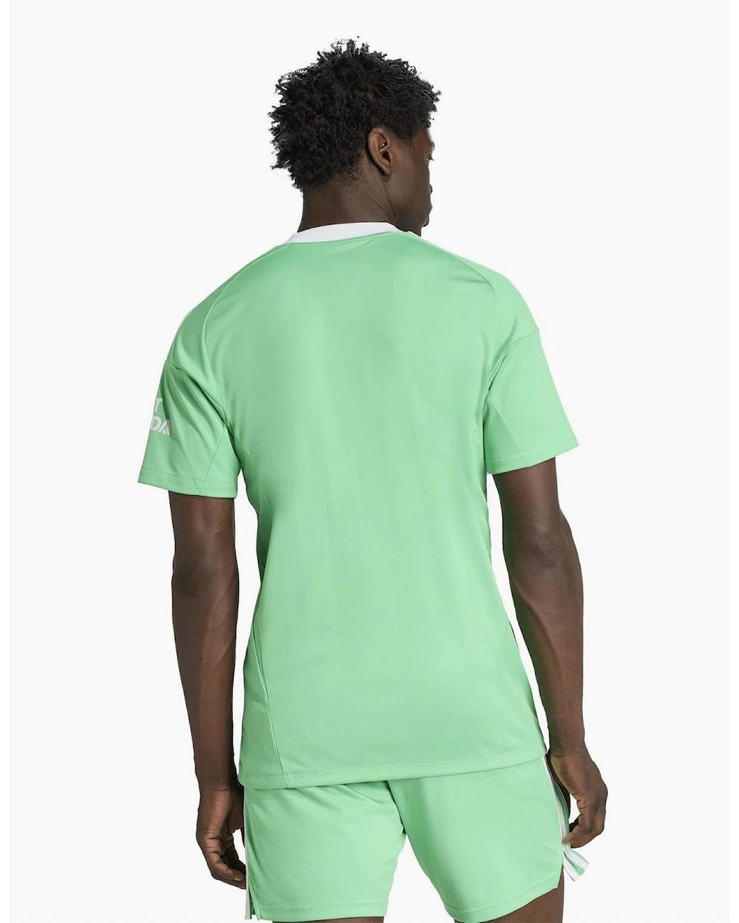 Adidas Green Afc 3 Goalkeeper Wordmark Crew Neck Jersey for men