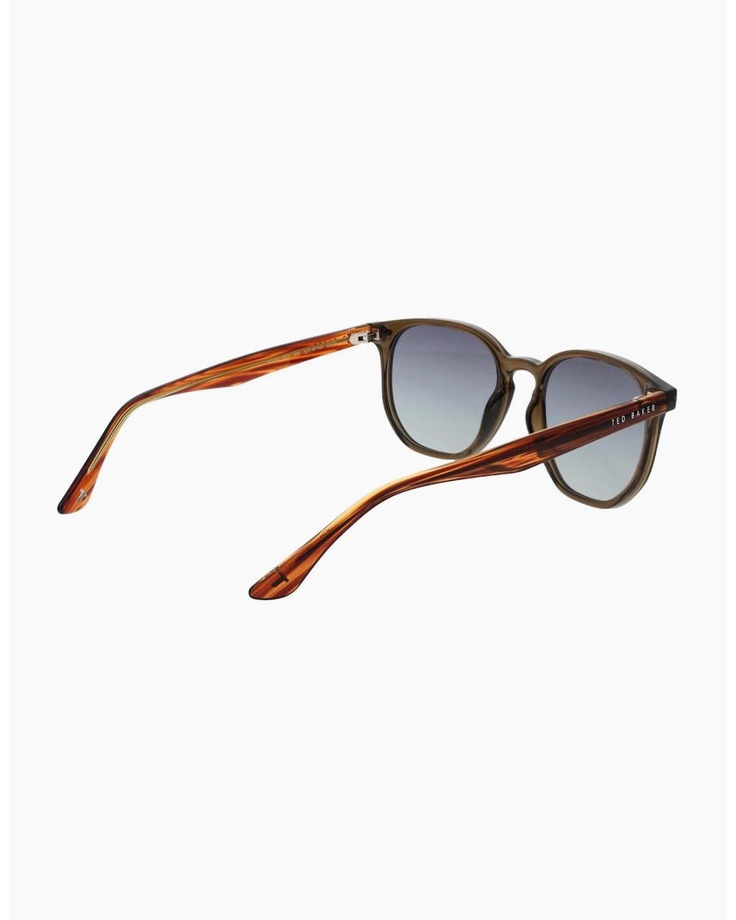 Ted Baker Brown Sunglasses Tb1655 949 52 for men