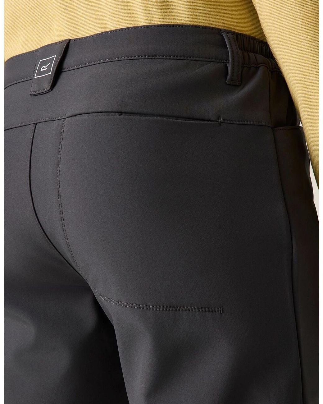 Regatta Gray Fenton Softshell Trousers for men