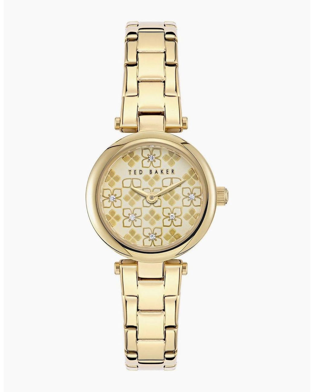 Ted Baker Metallic Jolyye Watch for men