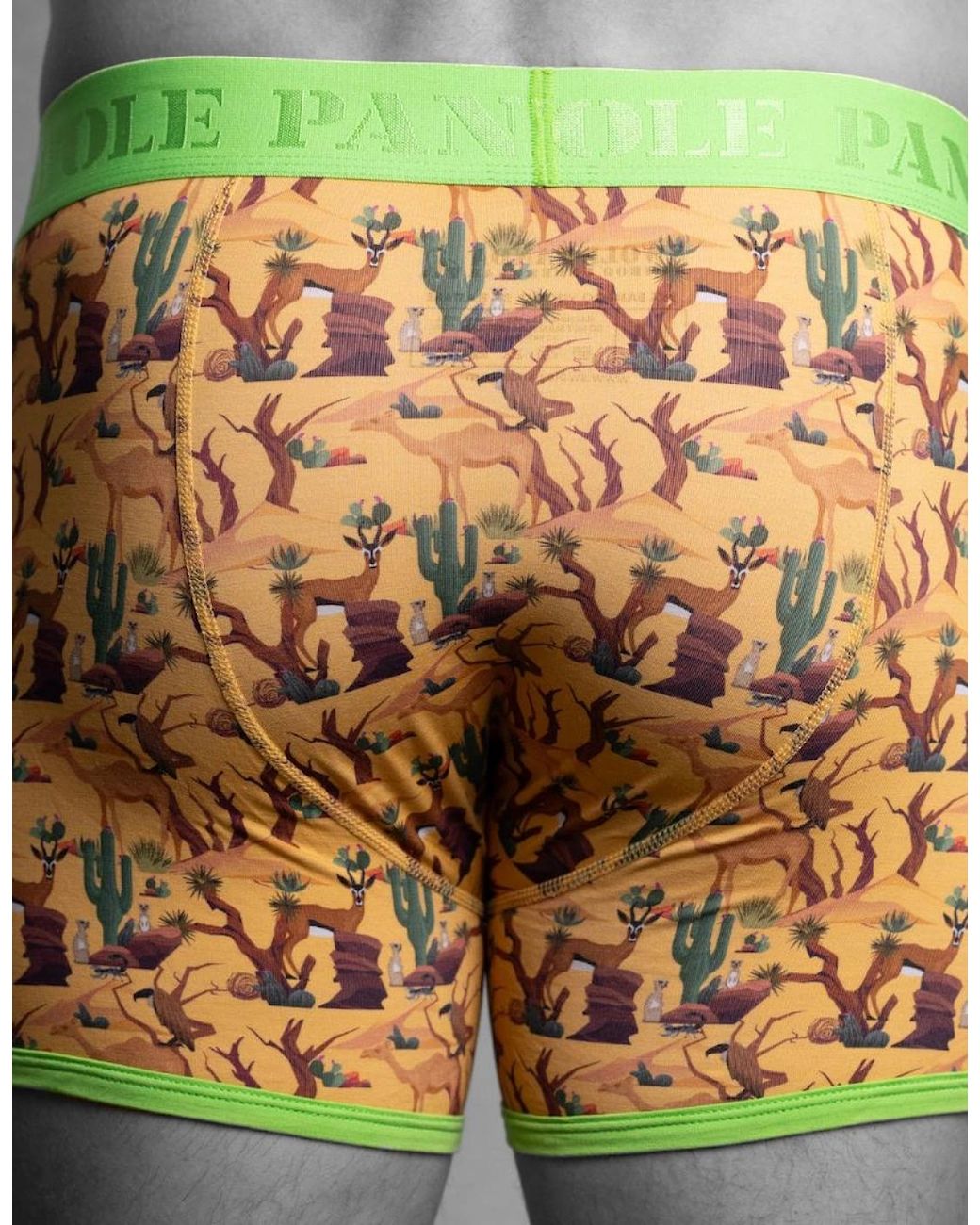 Swole Panda Green Savannah Bamboo Boxer Brief for men