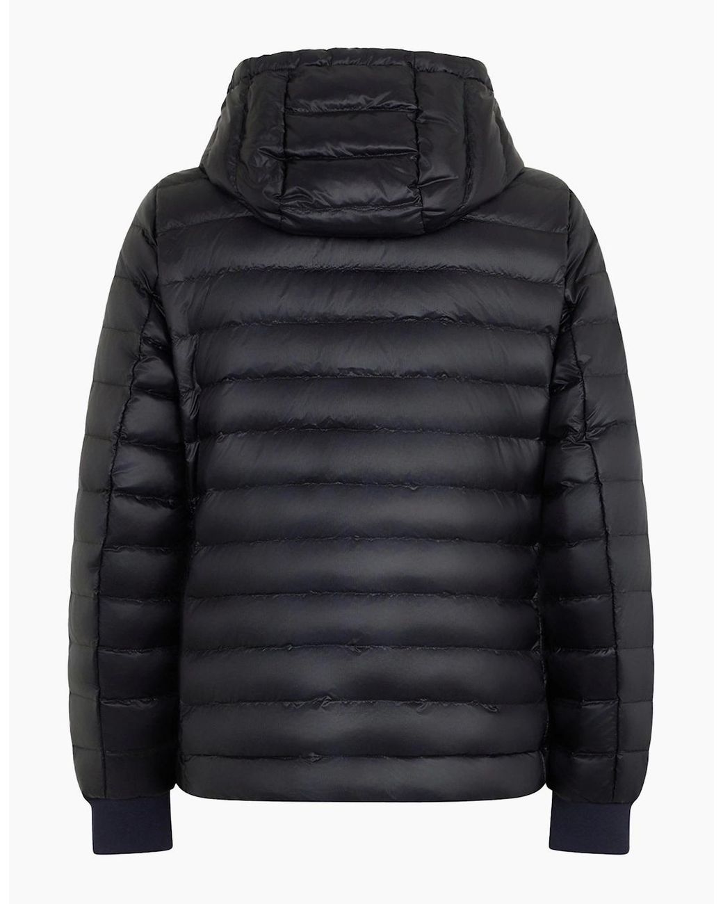 Moose Knuckles Black Cloud Walker Jacket for men