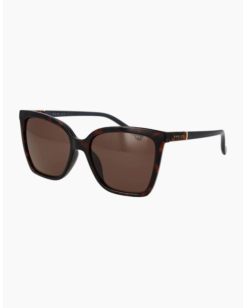 Radley Brown Sunglasses Rds-6557 102 54
