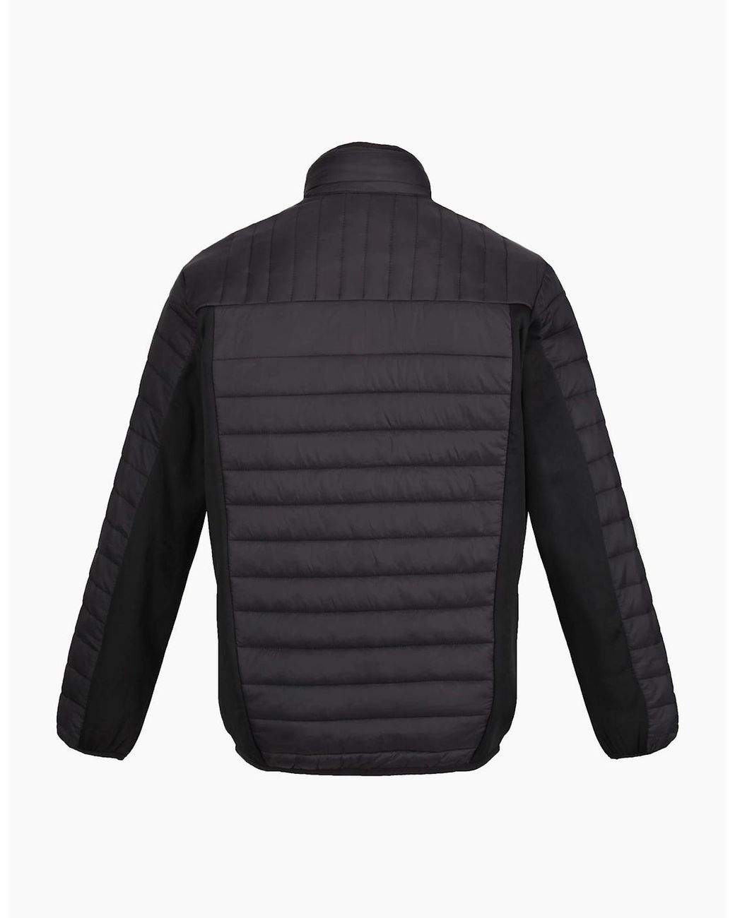 Regatta Blue Professional Hybrid Jacket for men