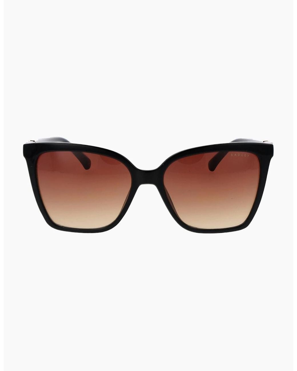 Radley Brown Sunglasses Rds-6557 104 54