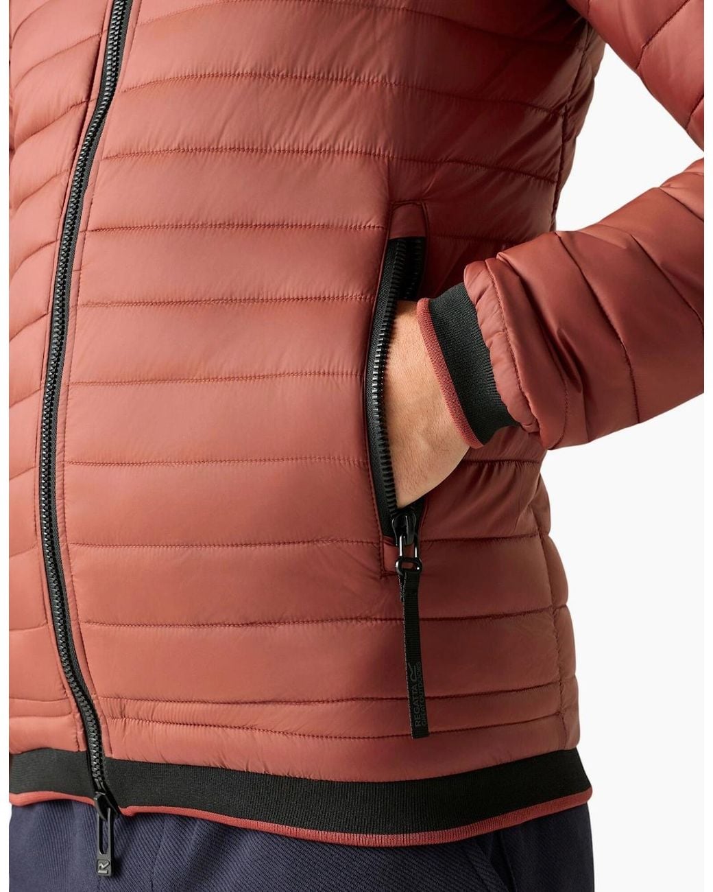 Regatta Red Haile Padded Jacket for men
