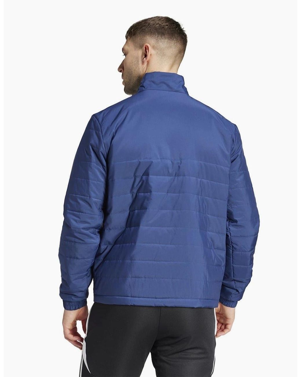 Adidas Blue Entrada Light Jacket for men