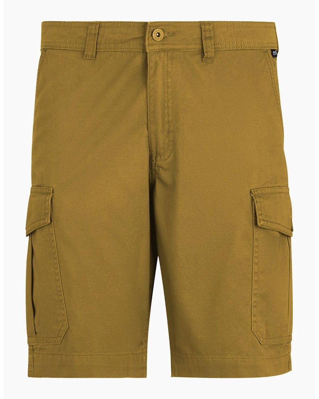 Regatta Green Ruwan Casual Shorts for men