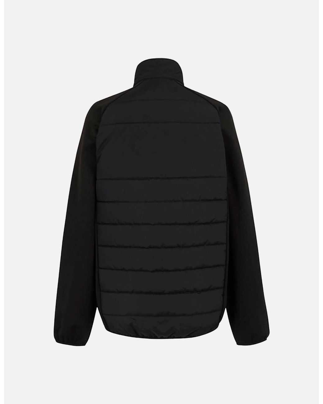 Regatta Black Professional Hybrid Jacket for men