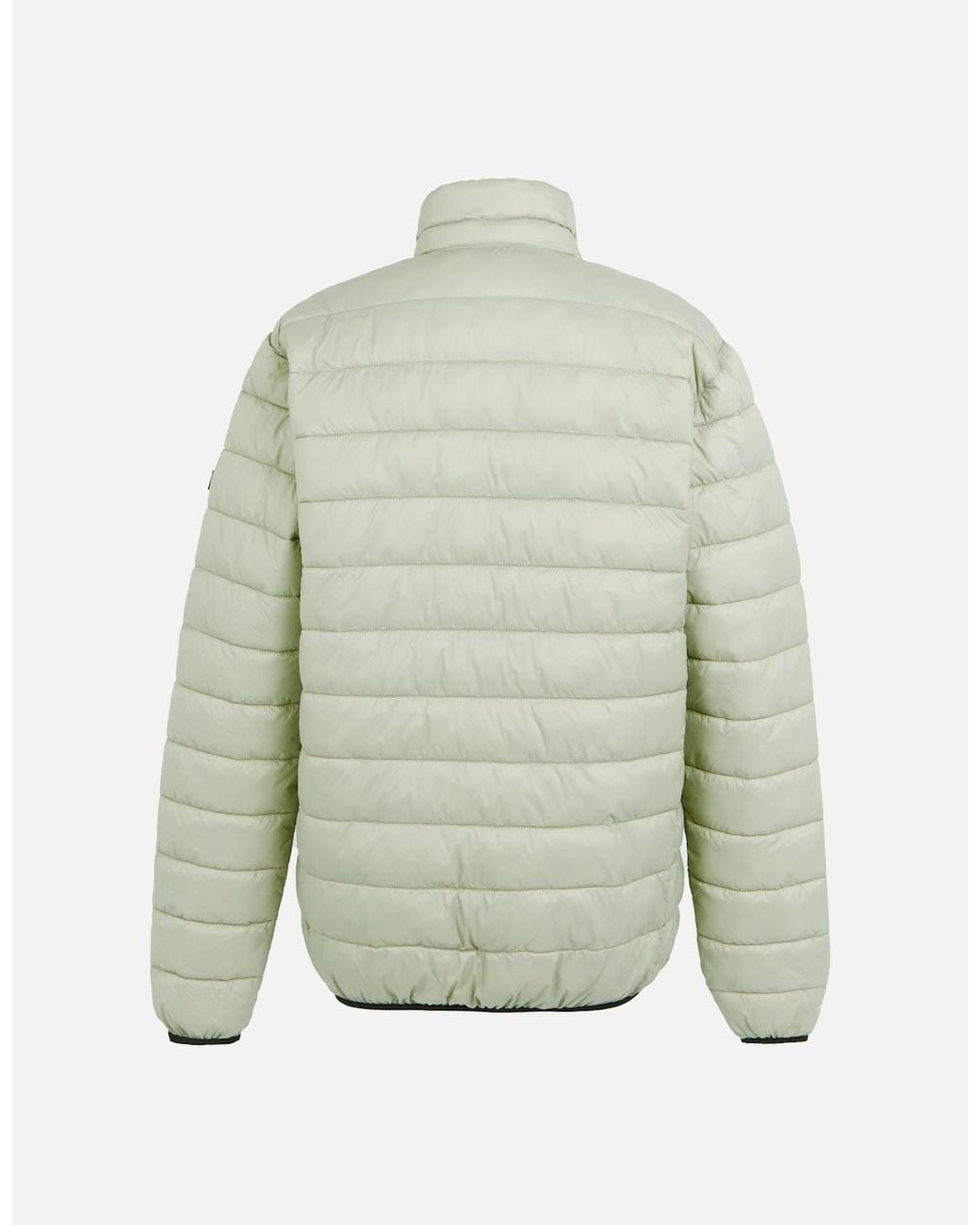 Regatta Black Marizion Padded Jacket for men