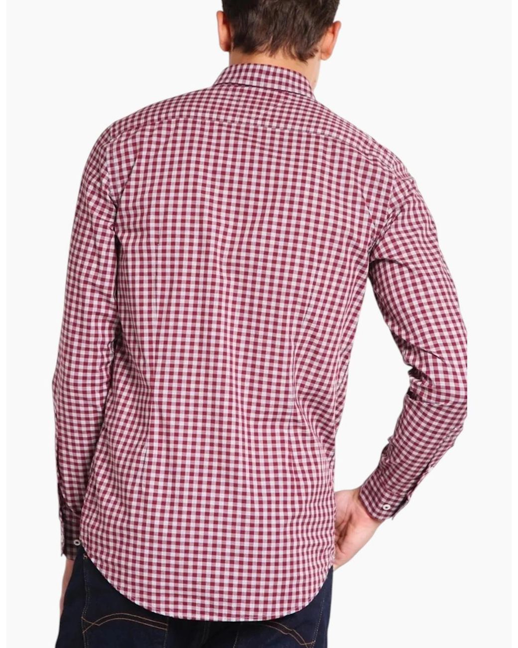 Tommy Hilfiger Pink Oxford Shirts Long Sleeve Cotton Top for men