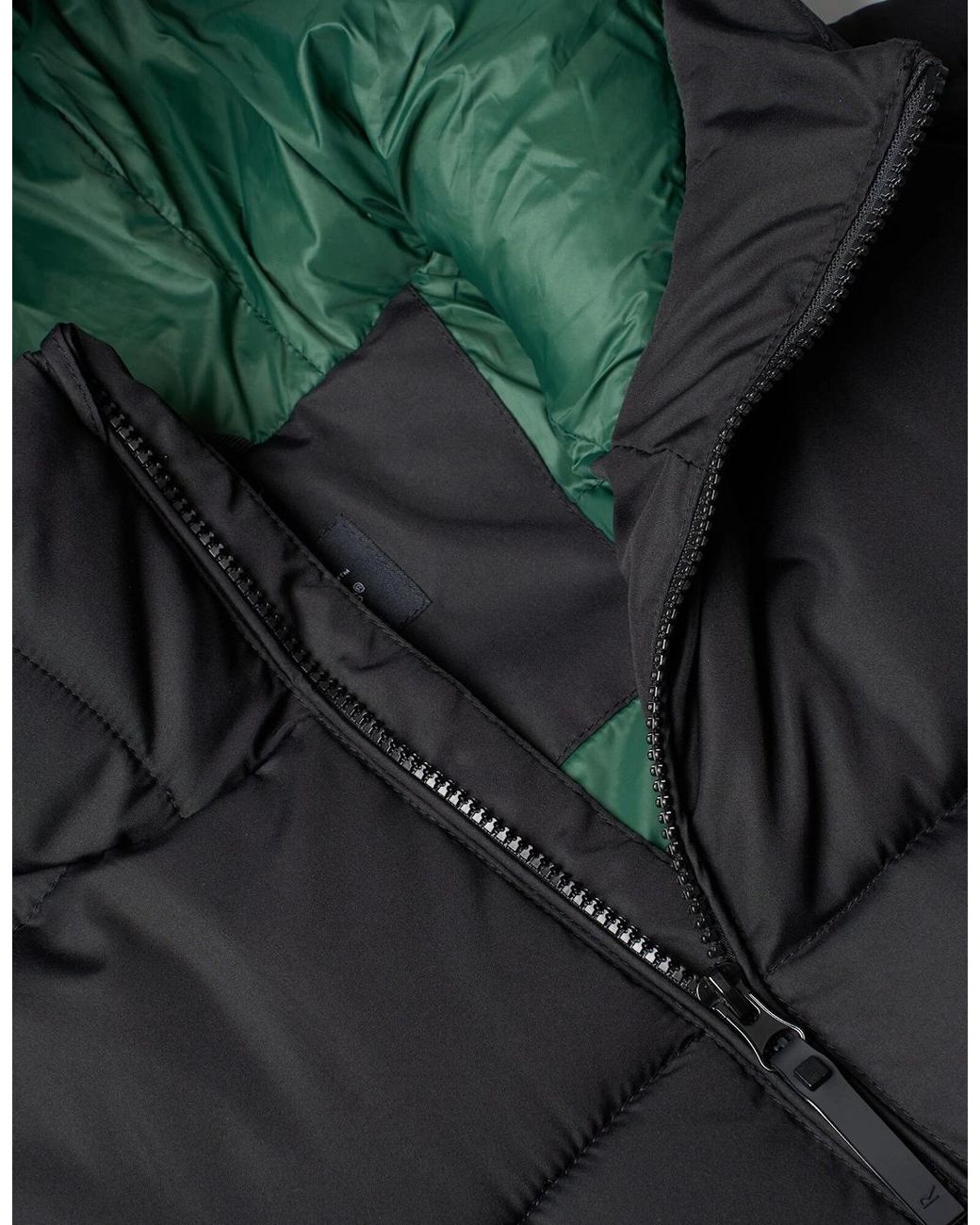 Regatta Gray Marek Short Padded Jacket for men