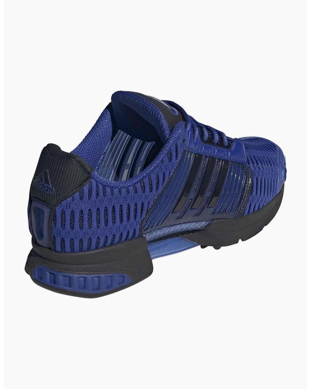 Adidas Blue Climacool 1 for men