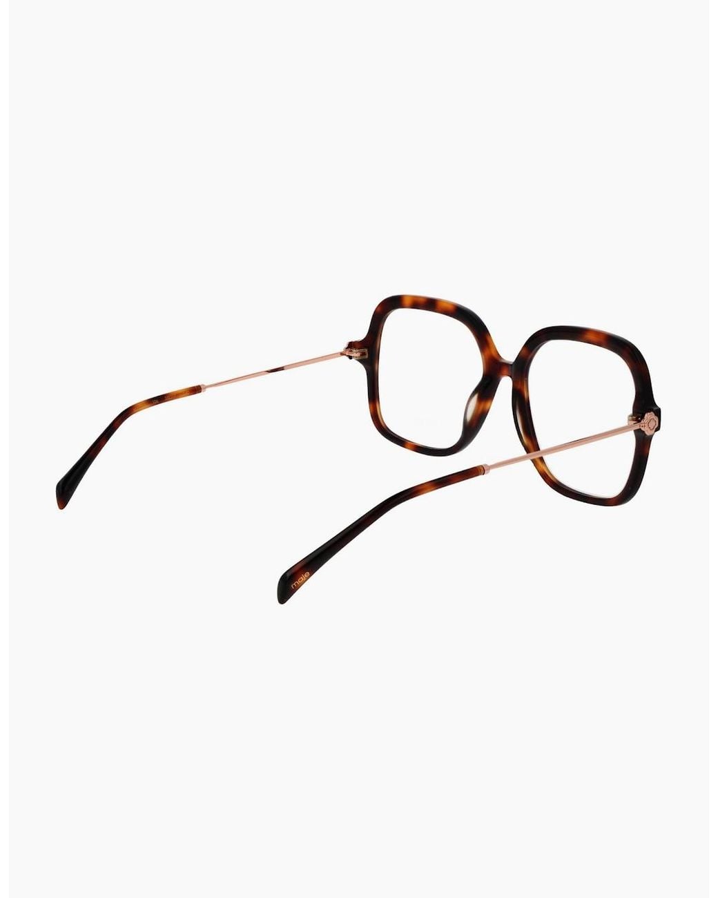 Maje Brown Optical Frame Mj1050 106 55