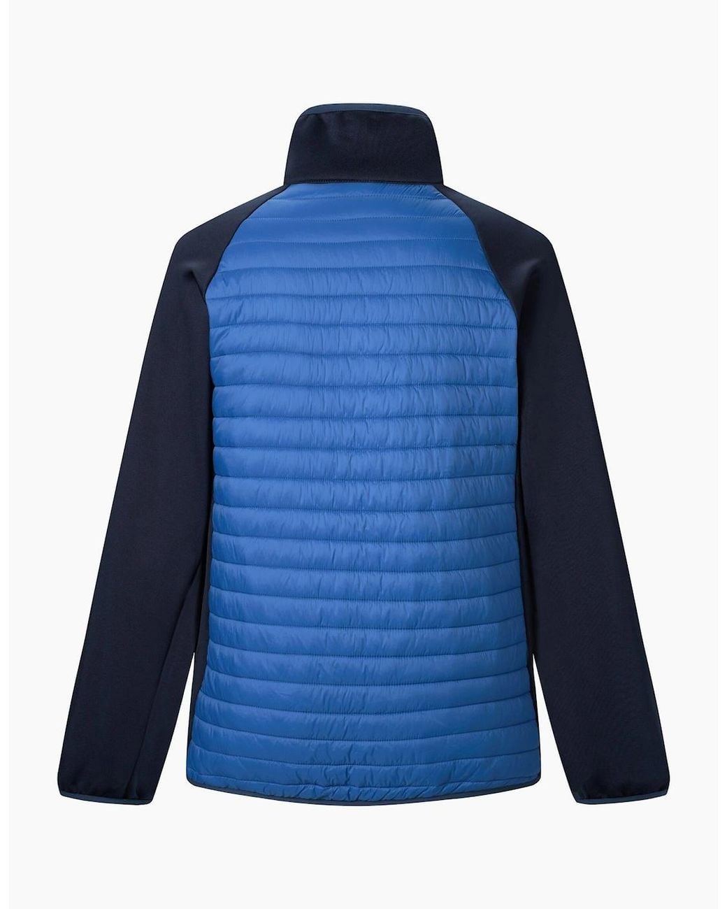 Regatta Blue Clumber Hybrid Jacket for men